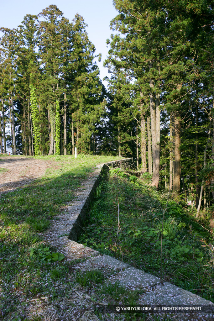 玉櫓跡