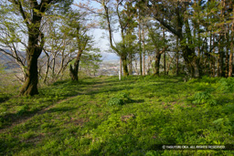 靱櫓跡 | 高解像度画像サイズ:4992 x 3328 pixels | 写真番号:VJ7Z3897 | 撮影:Canon EOS-1Ds Mark II