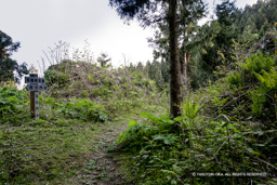 坂中門跡 | 高解像度画像サイズ:4992 x 3328 pixels | 写真番号:VJ7Z3910 | 撮影:Canon EOS-1Ds Mark II