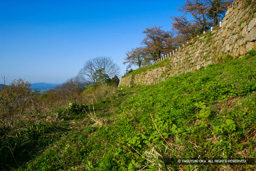 村上城本丸石垣 | 高解像度画像サイズ：4992 x 3328 pixels | 写真番号：VJ7Z3990 | 撮影：Canon EOS-1Ds Mark II