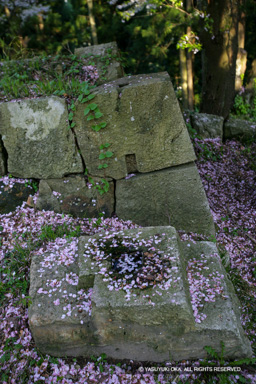 冠木門礎石 | 高解像度画像サイズ:3328 x 4992 pixels | 写真番号:VJ7Z4001 | 撮影:Canon EOS-1Ds Mark II