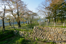 本丸 | 高解像度画像サイズ:4760 x 3173 pixels | 写真番号:VJ7Z4023 | 撮影:Canon EOS-1Ds Mark II