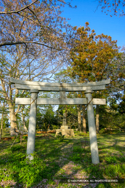 本丸 | 高解像度画像サイズ:3208 x 4812 pixels | 写真番号:VJ7Z4026 | 撮影:Canon EOS-1Ds Mark II