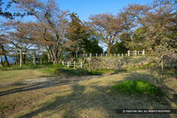 本丸 | 高解像度画像サイズ:4915 x 3277 pixels | 写真番号:VJ7Z4057 | 撮影:Canon EOS-1Ds Mark II