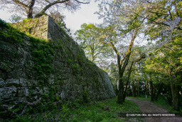 本丸石垣 | 高解像度画像サイズ:4992 x 3328 pixels | 写真番号:VJ7Z4073 | 撮影:Canon EOS-1Ds Mark II