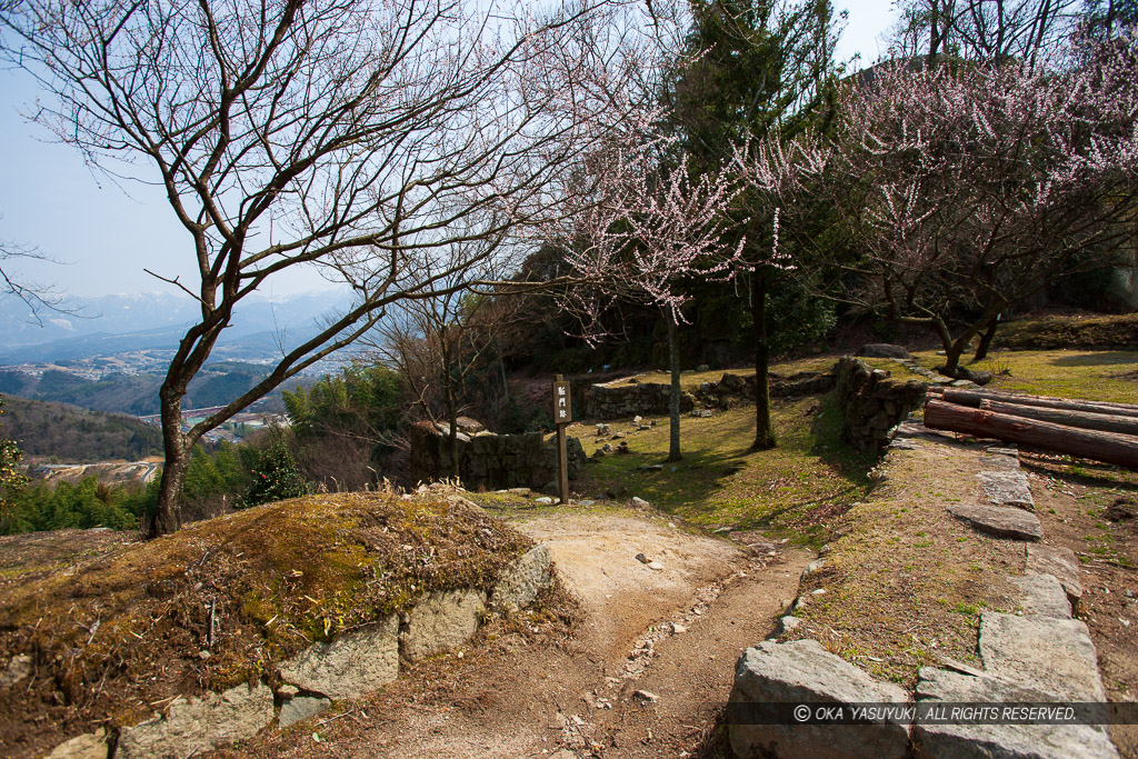 駆門虎口