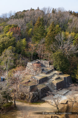 本丸から見る大矢倉・三の丸｜高解像度画像サイズ：4425 x 6638 pixels｜写真番号：5D4A7159｜撮影：Canon EOS 5D Mark IV