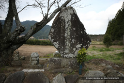 甘利郷左衛門尉信康の碑 | 高解像度画像サイズ：5616 x 3744 pixels | 写真番号：1P3J6485 | 撮影：Canon EOS-1Ds Mark III