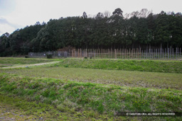 長篠設楽原（設楽ヶ原）の戦い：馬防柵 | 高解像度画像サイズ：5616 x 3744 pixels | 写真番号：1P3J6513 | 撮影：Canon EOS-1Ds Mark III