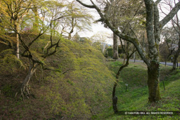  | 高解像度画像サイズ：5616 x 3744 pixels | 写真番号：1P3J6558 | 撮影：Canon EOS-1Ds Mark III