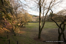 本丸跡と土塁 | 高解像度画像サイズ：2784 x 1856 pixels | 写真番号：1P3J6565 | 撮影：Canon EOS-1Ds Mark III