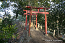 本丸土塁上部 | 高解像度画像サイズ：2784 x 1856 pixels | 写真番号：1P3J6572 | 撮影：Canon EOS-1Ds Mark III