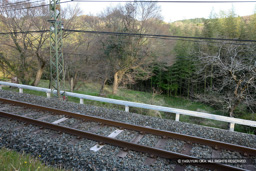 物見櫓跡・野牛郭跡 | 高解像度画像サイズ：2518 x 1678 pixels | 写真番号：1P3J6575 | 撮影：Canon EOS-1Ds Mark III