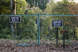  | 高解像度画像サイズ：2614 x 1743 pixels | 写真番号：1P3J6587 | 撮影：Canon EOS-1Ds Mark III