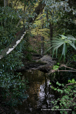 矢沢川（碁石川） | 高解像度画像サイズ：3744 x 5616 pixels | 写真番号：1P3J6609 | 撮影：Canon EOS-1Ds Mark III