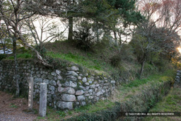 弾正郭跡 | 高解像度画像サイズ：5616 x 3744 pixels | 写真番号：1P3J6611 | 撮影：Canon EOS-1Ds Mark III
