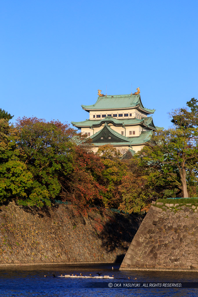 鵜の首