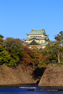 鵜の首｜高解像度画像サイズ：4309 x 6464 pixels｜写真番号：5D4A2280-Edit｜撮影：Canon EOS 5D Mark IV