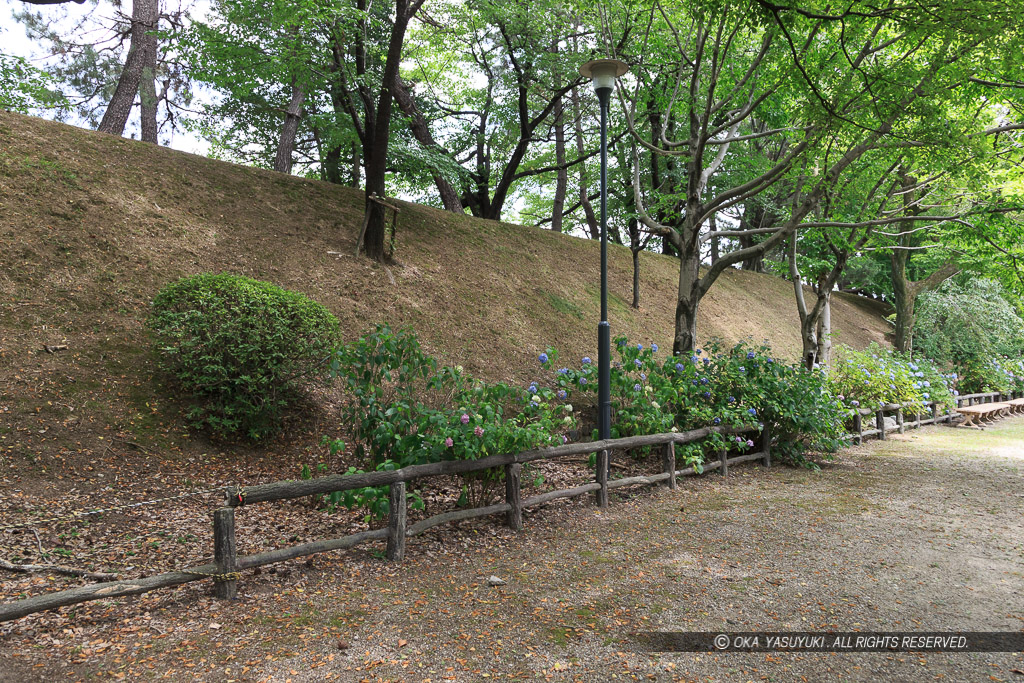 二の丸東側土塁