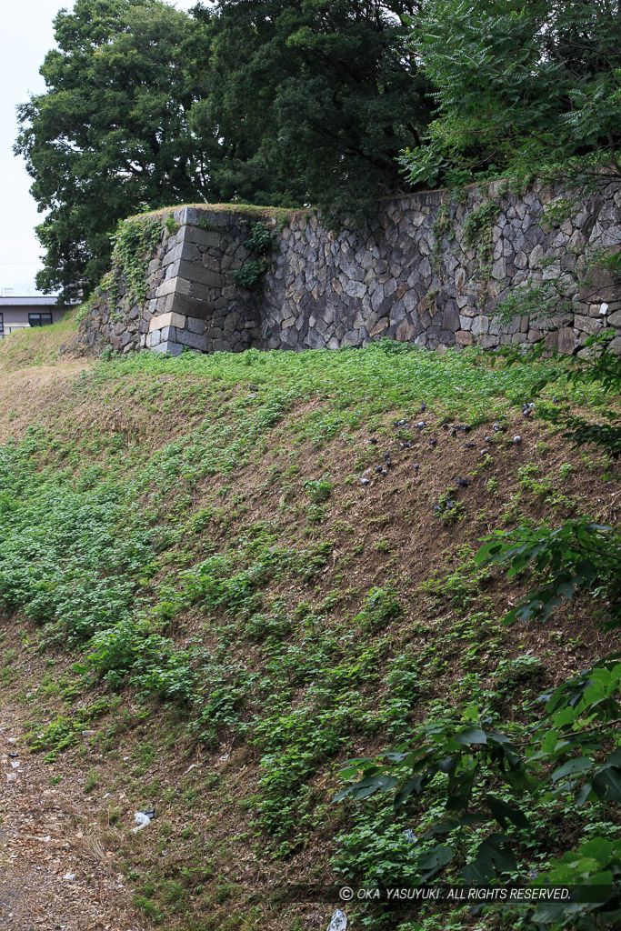 三の丸空堀と石垣