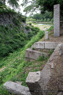 埋門跡・二の丸｜高解像度画像サイズ：3456 x 5184 pixels｜写真番号：1DXL6405｜撮影：Canon EOS-1D X