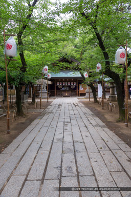 那古野神社｜高解像度画像サイズ：3456 x 5184 pixels｜写真番号：1DXL6473｜撮影：Canon EOS-1D X