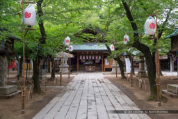 那古野神社｜高解像度画像サイズ：5184 x 3456 pixels｜写真番号：1DXL6474｜撮影：Canon EOS-1D X