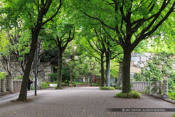 三の丸門跡｜高解像度画像サイズ：5051 x 3367 pixels｜写真番号：1DXL6499｜撮影：Canon EOS-1D X
