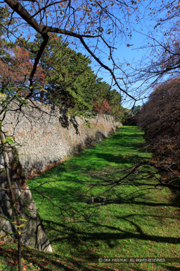 空堀｜高解像度画像サイズ：4480 x 6720 pixels｜写真番号：5D4A1720｜撮影：Canon EOS 5D Mark IV