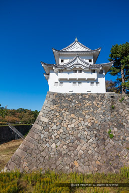 西南隅櫓｜高解像度画像サイズ：5533 x 8300 pixels｜写真番号：5DSA8590｜撮影：Canon EOS 5DS