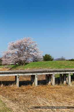 ｜高解像度画像サイズ：3456 x 5184 pixels｜写真番号：1DX_9006｜撮影：Canon EOS-1D X