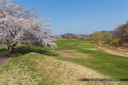 ｜高解像度画像サイズ：5070 x 3380 pixels｜写真番号：1DX_9020｜撮影：Canon EOS-1D X