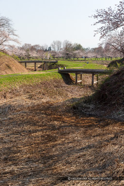 ｜高解像度画像サイズ：3456 x 5184 pixels｜写真番号：1DX_9035｜撮影：Canon EOS-1D X