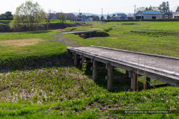 ｜高解像度画像サイズ：5184 x 3456 pixels｜写真番号：1DX_9085｜撮影：Canon EOS-1D X