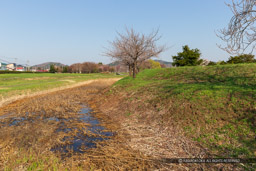 ｜高解像度画像サイズ：5184 x 3456 pixels｜写真番号：1DX_9091｜撮影：Canon EOS-1D X