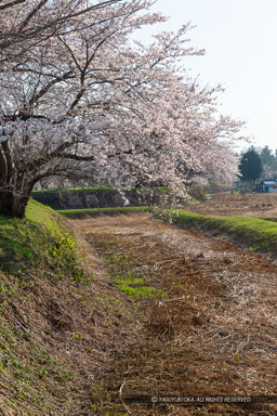 ｜高解像度画像サイズ：3456 x 5184 pixels｜写真番号：1DX_9104｜撮影：Canon EOS-1D X