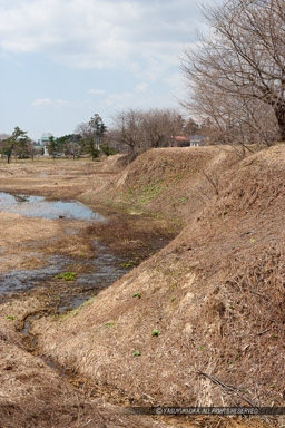 ｜高解像度画像サイズ：3328 x 4992 pixels｜写真番号：VJ7Z4915｜撮影：Canon EOS-1Ds Mark II