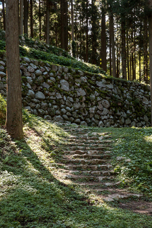 桜馬場石垣﻿