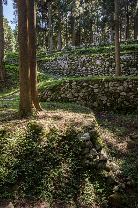 桜馬場石垣﻿