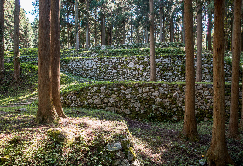 桜馬場石垣﻿