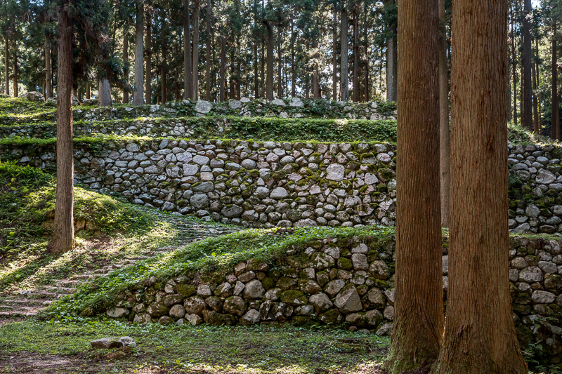 桜馬場石垣﻿