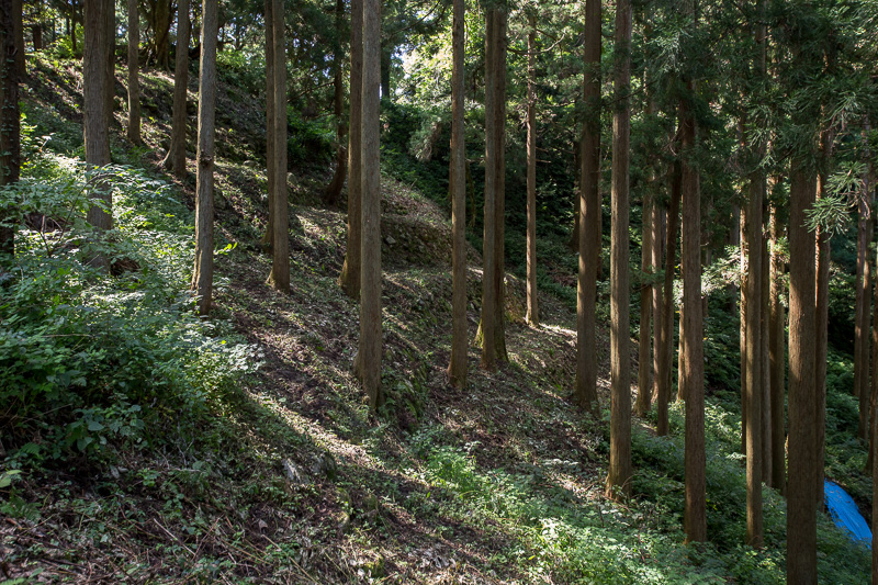 桜馬場石垣﻿