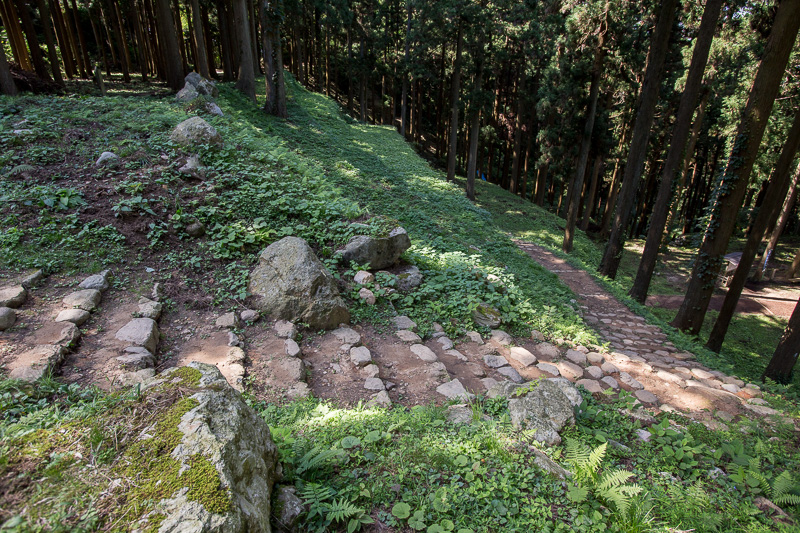 桜馬場虎口