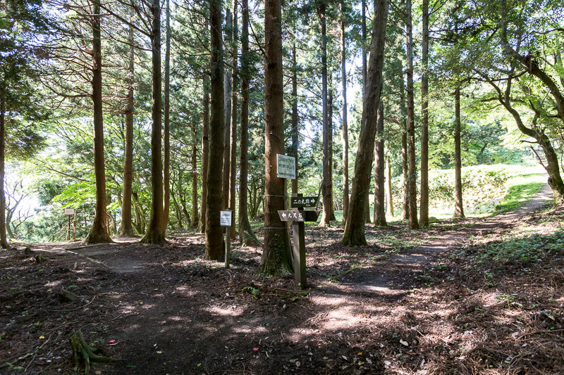 温井屋敷跡