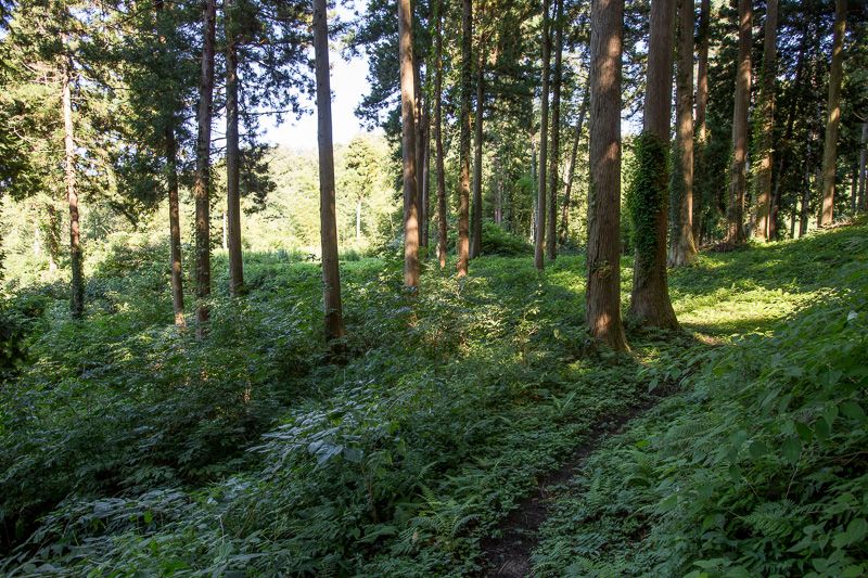 寺屋敷跡