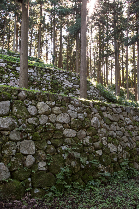 桜馬場石垣﻿