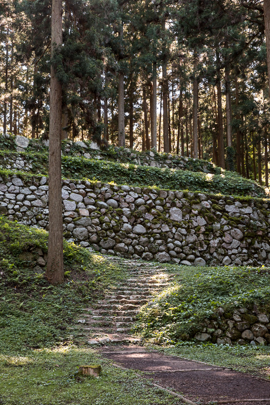 桜馬場石垣﻿