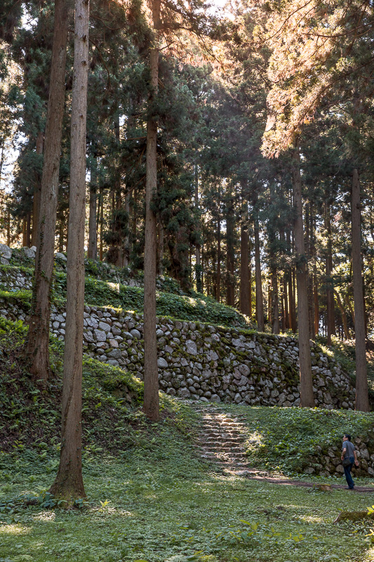 桜馬場石垣﻿