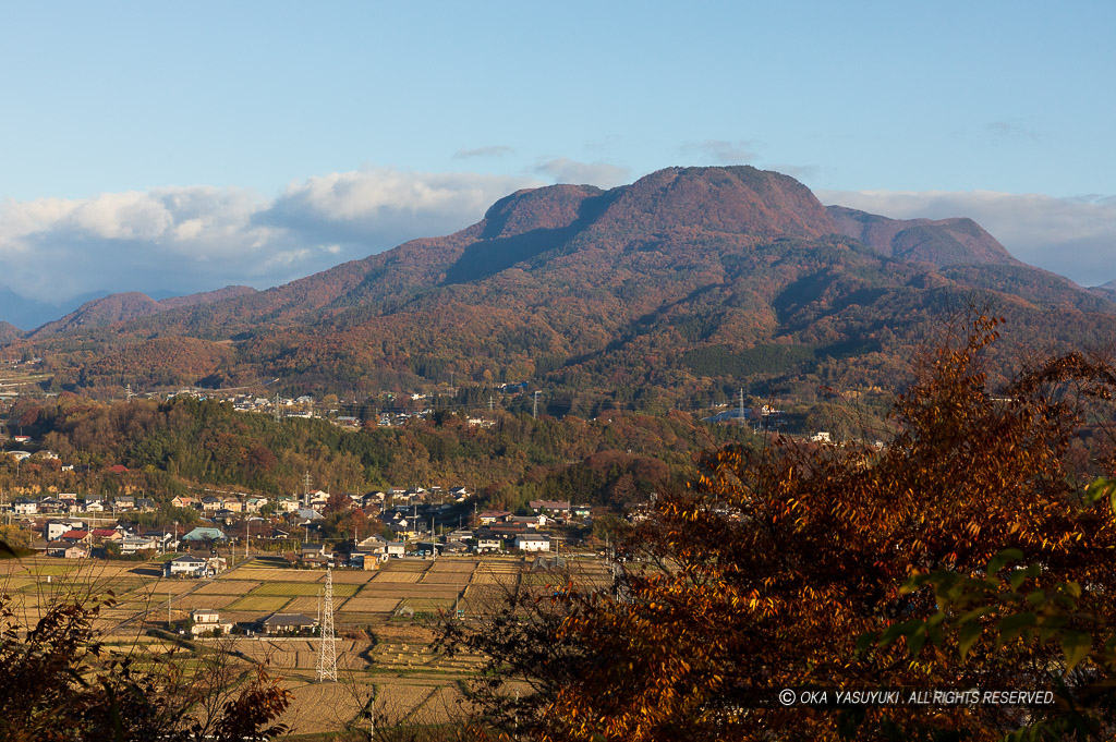沼田城から三峰山を望む