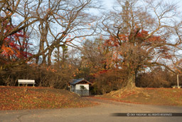 土塁？｜高解像度画像サイズ：6720 x 4480 pixels｜写真番号：5D4A1294｜撮影：Canon EOS 5D Mark IV